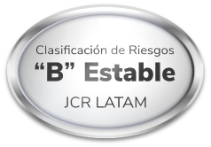 pagina-web_b-estable